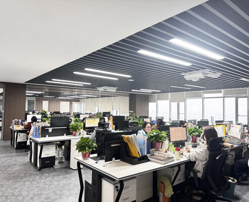 Çin SONSILL HOLDING şirket Profili