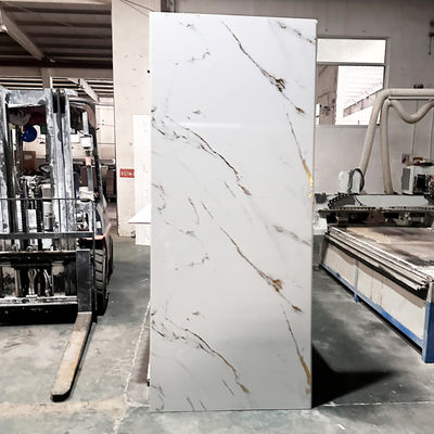 Toplu Tedarik 1000x2400mm PVC Duş Duvar Paneli İnşaat Projesi İçin