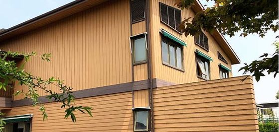 Dış Duvar Dekorasyonu için Co Ekstrüzyon Dış Cephe Paneli 219x26mm
