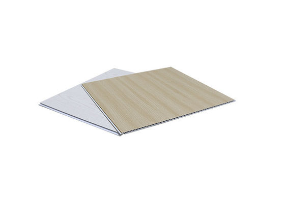 Ev Yapı Malzemeleri İç Duvar Dekoratif Paneller 40cm 60cm PVC Duvar Paneli
