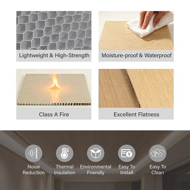 Premium Aluminum Honeycomb Ceiling Panel â Lightweight, Fire Resistant, Waterproof & Durable Suspended Ceiling Solution for Commercial and Architectural Applications